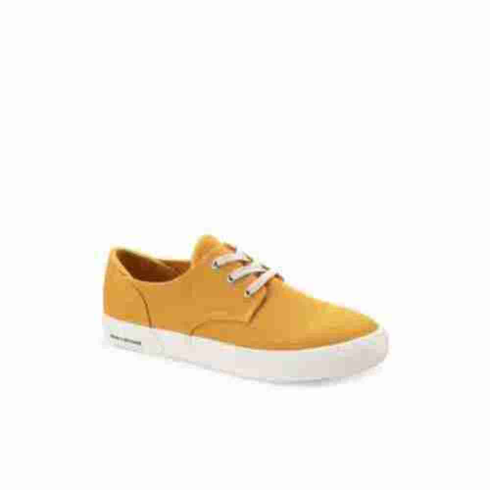 Sun + Stone Kiva Lace-up Core Sneakers
